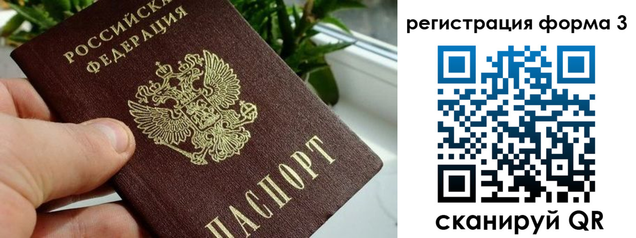 прописка штамп в Заозёрске